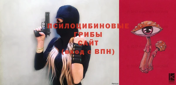 спайс Алексин