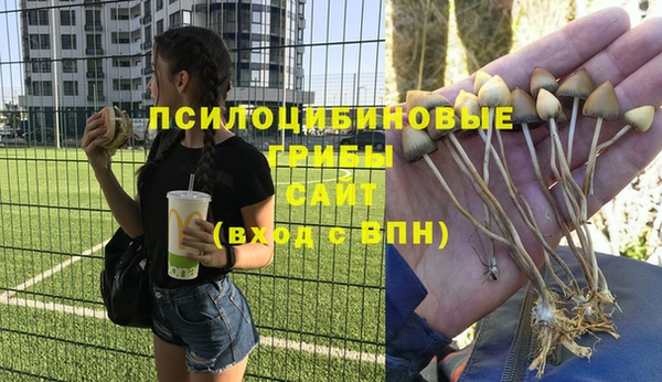 спайс Алексин