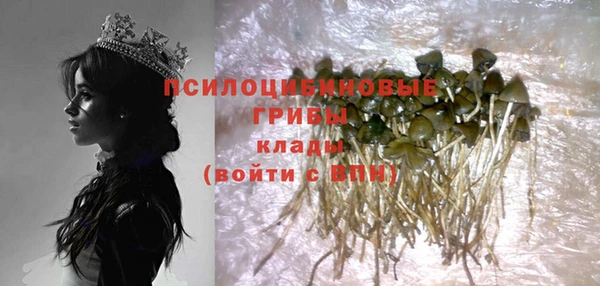 спайс Алексин