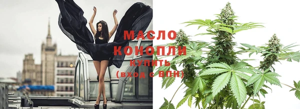 молекула духа Алексеевка
