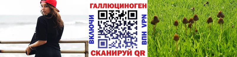 Галлюциногенные грибы прущие грибы  дарк нет состав  Орлов 